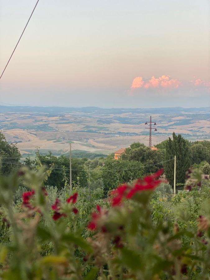 Podere Belsogno Montalcino Eksteriør billede